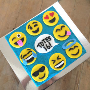emoji teenage girl birthday cake idea cake kit from Cake 2 The Rescue