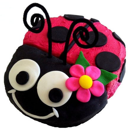 girl ladybug baby shower or birthday cake DIY kit from Cake 2 The Rescue
