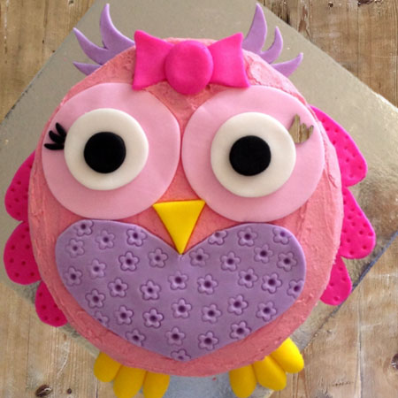 owlet girls baby shower cake kit from Cake 2 The Rescue
