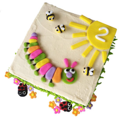 Pink caterpillar baby shower and birthday cake DIY kit from Cake 2 The Rescue