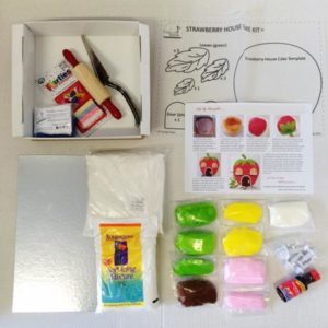 strawberry house enchanted garden themed birthday party DIY cake kit contents from Cake 2 The Rescue