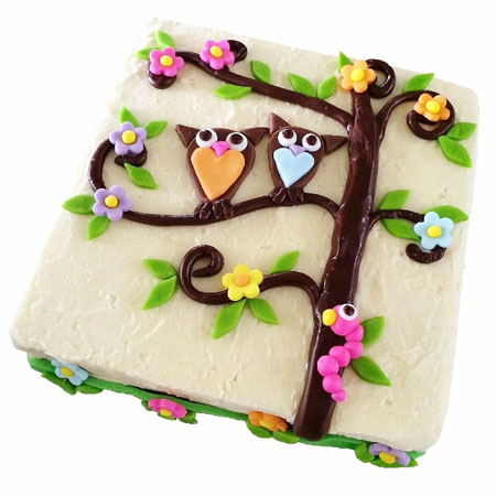 tree owl baby shower and birthday cake DIY kit from Cake 2 The Rescue