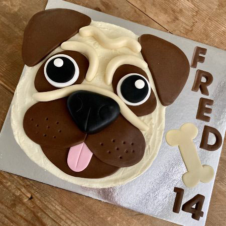 easy pug dog tween or teen birthday cake kit from Cake 2 The Rescue