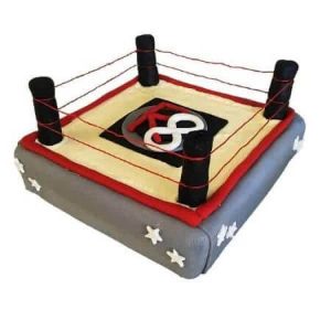 diy-boxing-wrestling-ring-cake-kit-450