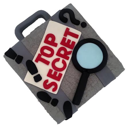 spy and secret agent birthday boy DIY cake kit from Cake 2 The Rescue