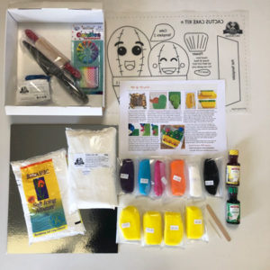 Cactus birthday cake kit contents from Cake 2 The Rescue