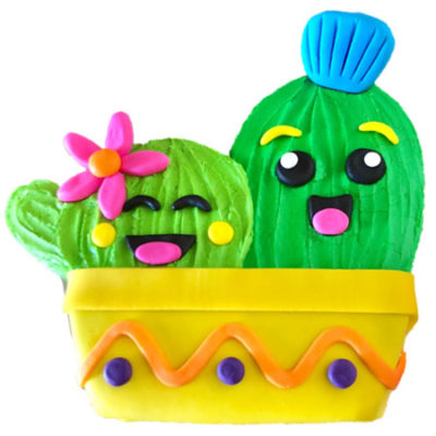 cactus twins baby shower cake DIY kit from Cake 2 The Rescue