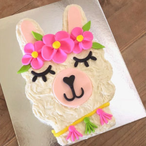 Llama kids Mexican Fiesta birthday cake kit from Cake 2 The Rescue