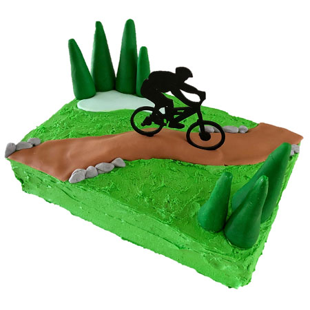 mountain bike track kids birthday party cake DIY cake kit from Cake 2 The Rescue