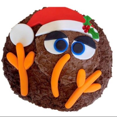 newzealand-theme-christmas-cake-kiwi-bird