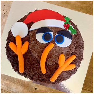 easy-kiwi-christmas-cake-diy-kit