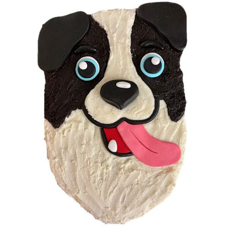 cute border collie dog birthday cake DIY kit from Cake 2 The Rescue