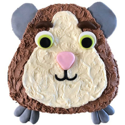 cute guinea pig birthday cake DIY kit from Cake 2 The Rescue