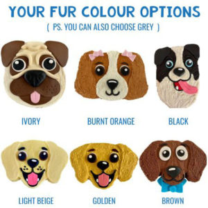 dog birthday cake DIY kits colour options from Cake 2 The Rescue