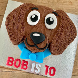 easy dachshund dog birthday girl cake kit from Cake 2 The Rescue
