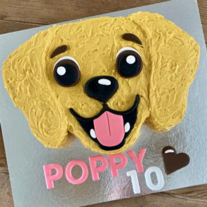 easy golden retriever dog birthday cake kit from Cake 2 The Rescue