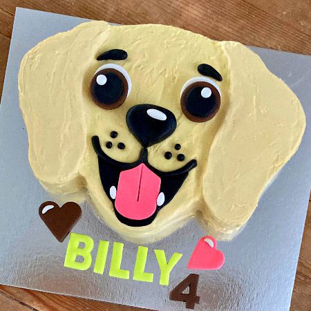 Cute DIY Labrador Birthday Cake Kit | Cake 2 The Rescue