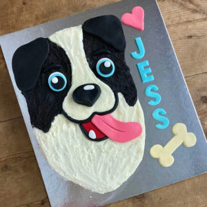 easy sheep dog border collie birthday cake kit from Cake 2 The Rescue