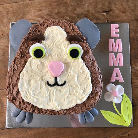 guinea pig hamster tween or teen birthday cake kit from Cake 2 The Rescue