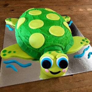 turtle birthday cake kit DIY from Cake 2 The Rescue