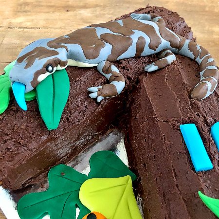 easy-lizard-birthday-cake-recipe