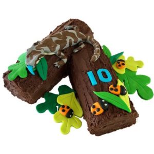 reptile-birthday-party-cake-kit