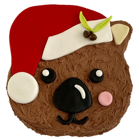 wombat-christmas-cake-kit-australian-aminal