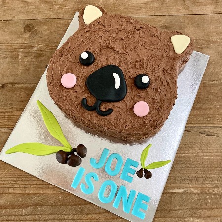 wombat-first-baby-shower-cake-diy-kit
