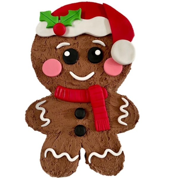 gingerbread-man-christmas-hat-cake-kit-diy