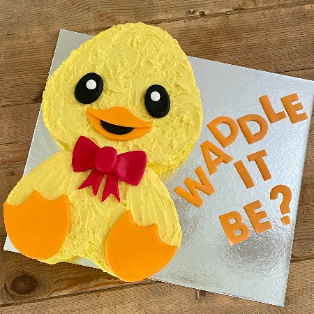waddle-it-be-gender-reveal-cake-kit