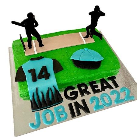 Simple Cricket Theme Cake-sgquangbinhtourist.com.vn